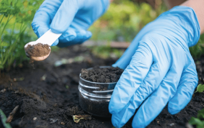 PAU Ludhiana Department of Soil Science Research Fellowship 2021