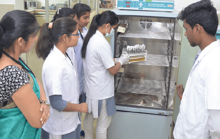 BHU Varanasi Department of Botany DB Junior Research Fellowship 2022