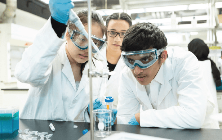 BHU Varanasi Department of Chemistry Project Fellowship 2021