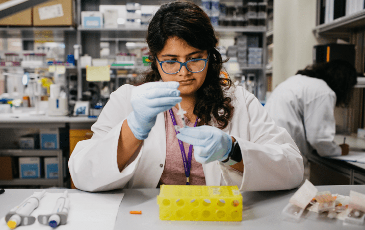 IIT Roorkee Department of Chemistry DOC Post Doctoral Fellowship 2022