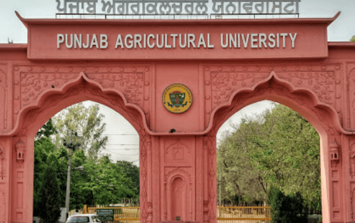 PAU Ludhiana School of Agricultural Biotechnology Research Associateship 2022