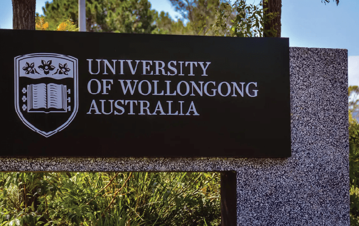 We went with STEM business finance…Indian students were coming to Australia for these University of Wollongong VC 1