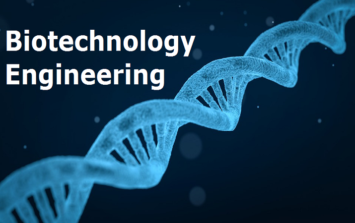 Biotechnology engineering 1