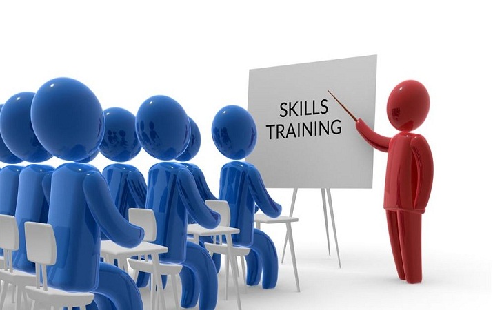 Could skill training be a viable replacement to higher education