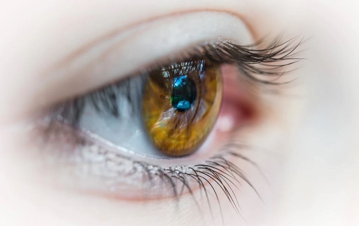IIT Gandhinagar Scientists develop tool to identify dementia through eye movements